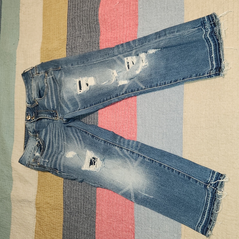 American eagle Artist crop